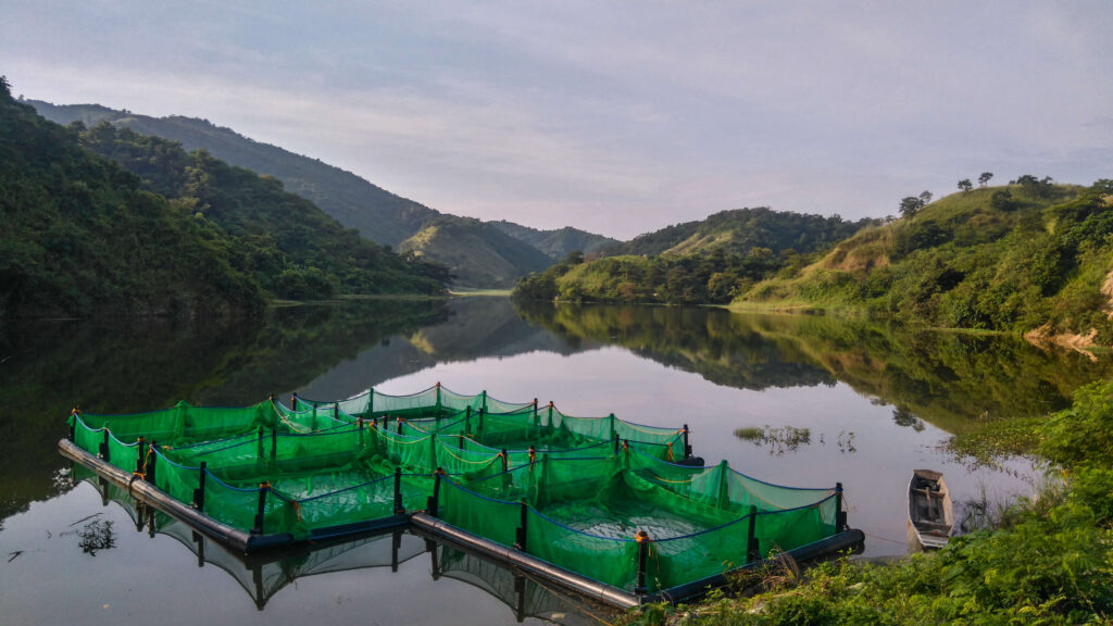 Lake Dilalam