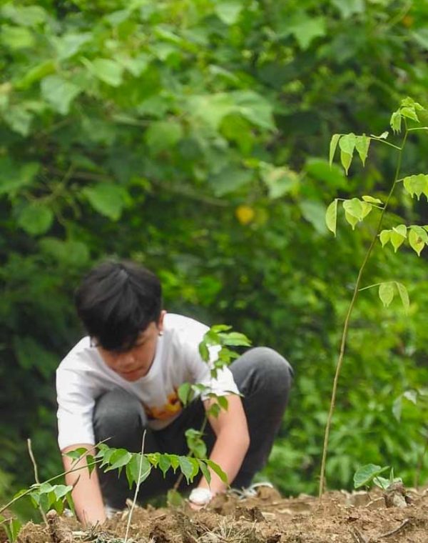 project-releaf-3